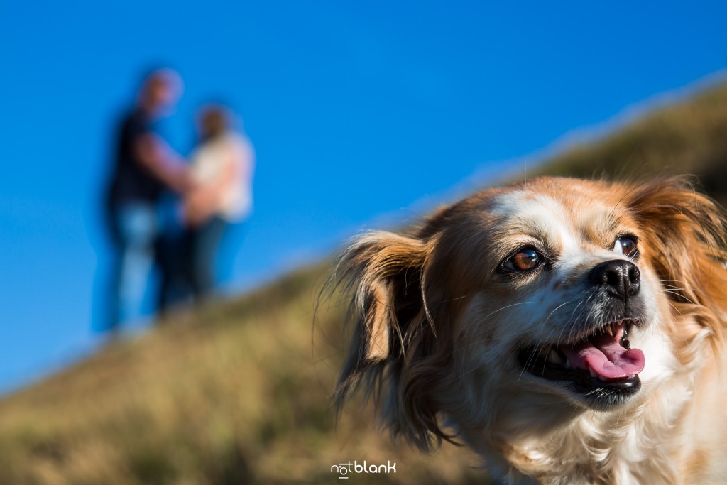 Preboda internacional en Valença do Minho. La perrita Lola de Alberto y Sonia posa en primer plano. Reportaje de sesión preboda realizado por Notblank fotógrafos de boda en Galicia.